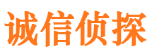 沧县侦探社